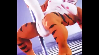 Tiger exhibitionism his package